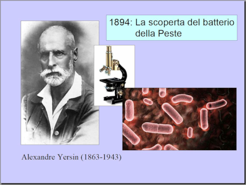  Slide 06 